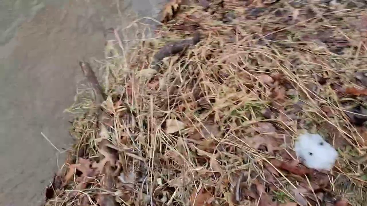 SO AS THE TIMES /De water 💧 rises.Full flooding in a rush 😒 🤔 slow 🐌 down 🧘‍♂️ .