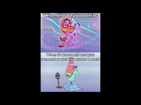 spongebob-memes