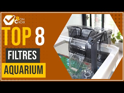 Vidéo: Meilleurs filtres d'aquarium pour aquariums de 10, 30 et 55 gallons