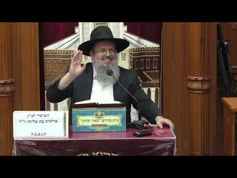 גמרא ומשנה | הרב דוד לוי | מסכת סוכה - פרק ד' והלכה - כה' אלול - תשפ"ה