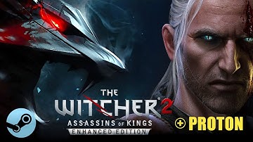 WITCHER 2 - LINUX [Steam Play Proton] - MAX settings