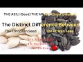 THE ASILI Seed THE MAAFA Great Disaster THE ASILI Seed THE MAAFA Great Disaster