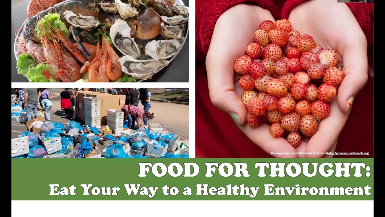 Food Donations and New Guidelines