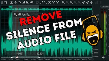 How to Remove Silence from an Audio File in Ocenaudio 2025?