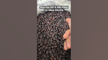 Tại sao hạt dổi nếp giá lại rẻ? #hatdoi #hatdoinep