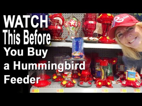 Hummingbird Feeders BE AWARE of Issues Before YOU Buy, EASY to Clean, Bees Ants & DIY Recipe Nectar