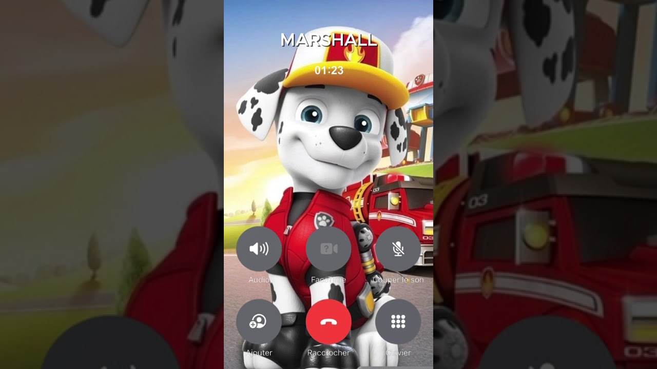 APPEL MARSHALL DE PAW PATROL