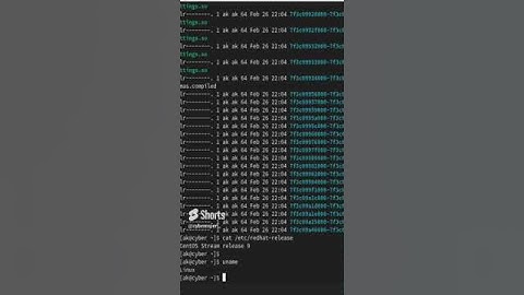How to check Linux distro. info. | Linux kernel version info.| Beginners