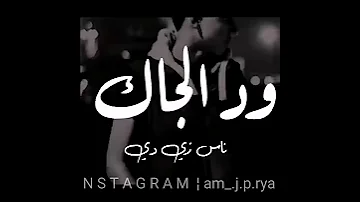 القالوا لا كان لا بقى 