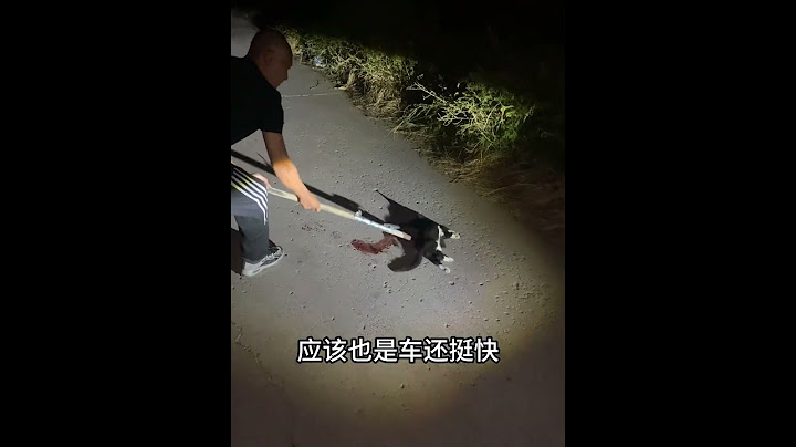 大家开车的时候一定要慢一点😭看一下有道路上有没有东西 小猫精神状态belike