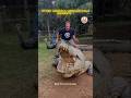 Other Animals' Unbelievable Moments vs THIS ONE… (Nature Went Too Far 😳🐾)