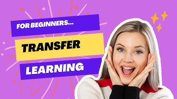 Transfer Learning for Beginners A Complete Guide