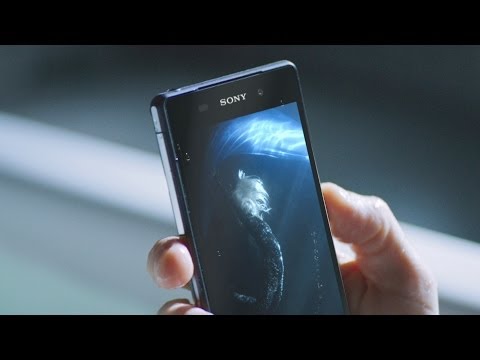 Xperia Z2 -