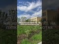 «Зелёный квартал на Пулковских высотах». Городская прописка. Отделка .   📱89062293304
