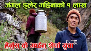 घर छाडेर जंगलमै बास, कमाई भने महिनाको एक डेढ लाख ! │Nepal Chitra