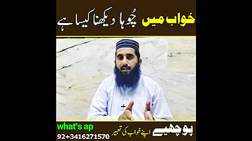 Khwab Mein Choha Dekhna Kaisa Hay Khwab Men Choha Dekhne Ki Tabeer 