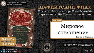 10 урок  Книга Закята   ШАФИИТСКИЙ ФИКХ   Аюб Абу Зейд Балаев  САЛЯФТУБ