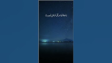 القارئ ماجد الزامل