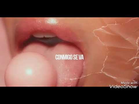 Ñengo Flow🔥Maximus Wel🔥Pacho El Antifeka🔥-CONMIGO SE VA-(audio Oficial)