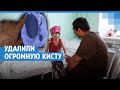 У 5-летней девочки в мозгу нашли огромную кисту ленточного червя. Как прошла уникальная операция