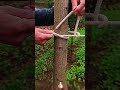 Convenient ways to tie the rope knot for pig - hoof - shaped lock fastener 🐷🧵🎀