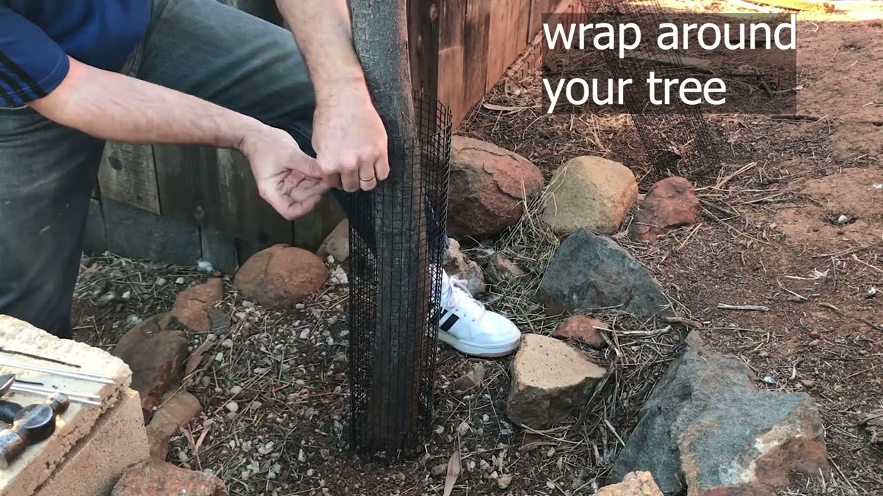 Protect Tree Trunk from Animals