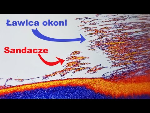 Wideo: Funkcje łowienia Za Pomocą Echosondy