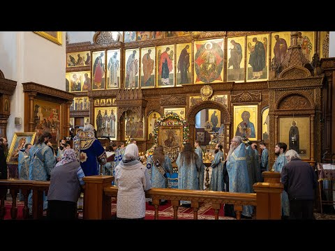 Видео: Похвала Пресвятой Богородицы. Акафист нараспев в Святогорской Лавре 19.4.24 г.