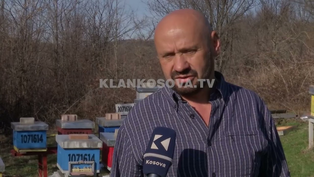 Arusha ha 3 mijë € mjaltë në Marec - 13.03.2023 - Lajmet