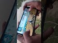 free Fire video #tiktok #gaming #freefire #video