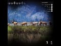 Way Of The Hunter -Fitness Potential Vapiti Stuck