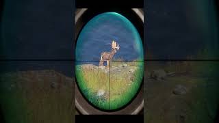 Great One With The 30-30... And Yes Im Still Excited About Them Call Of The Wild