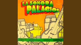 Video thumbnail of "Sonora Palacios - La Arañita"