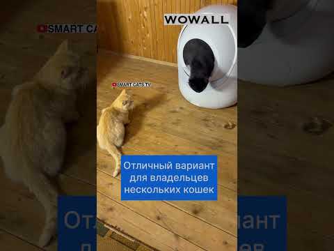 Умный автоматический туалет