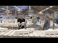 Making tiles at the Royal Tichelaar Factory
