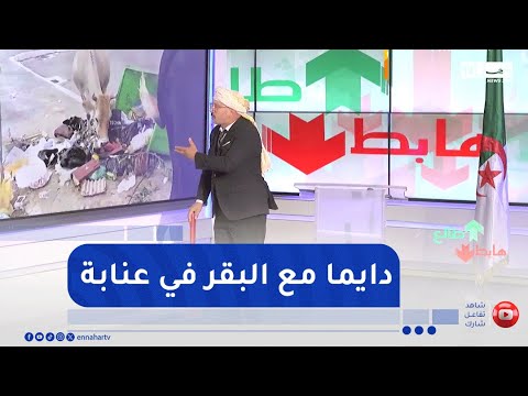 طالع هابط النوي والبقر في المدينة الجديدة ذراع الريش بعنابة كل يوم حلقة جديدة