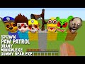 This is a SUPER SECRET WAY TO SPAWN BIGGEST PAW PATROL in Minecraft TITAN ! PAW PATROL VS ALL EXE
