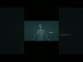 Thymus Anatomy and physiology 3D views#shorts#viral shorts