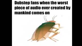 Dubstep fans when the worst piece of audio ever created by mankind comes on
