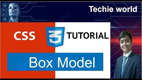 CSS Session 9:Box model in CSS