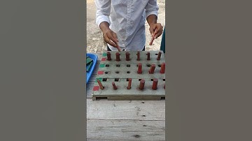 eps skill test korea 2023@