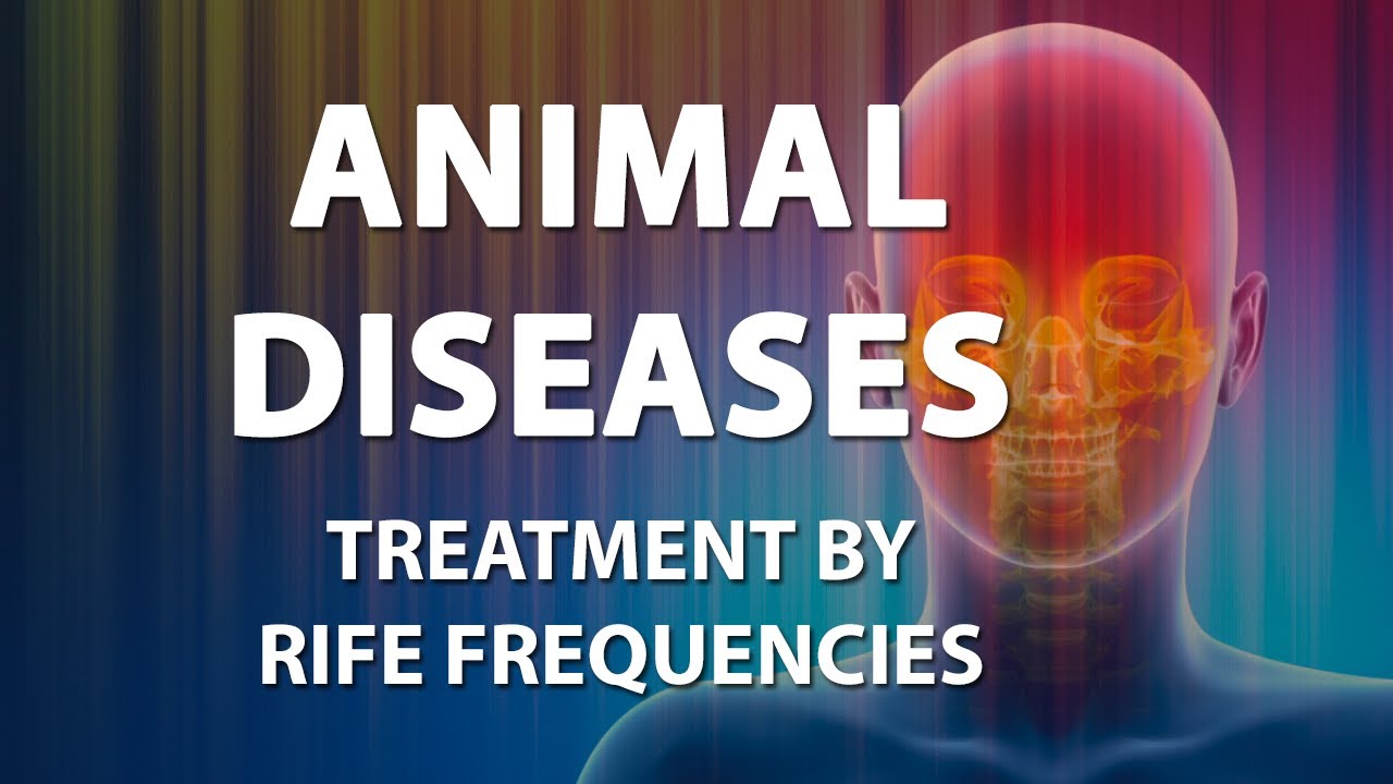 Energy Rife Frequencies Animal Diseases - RIFE Healing Frequencies Treatment - Frequency Energy ...