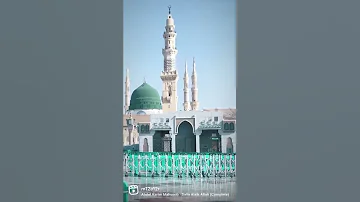 صلى عليك الله يا خير الورى 