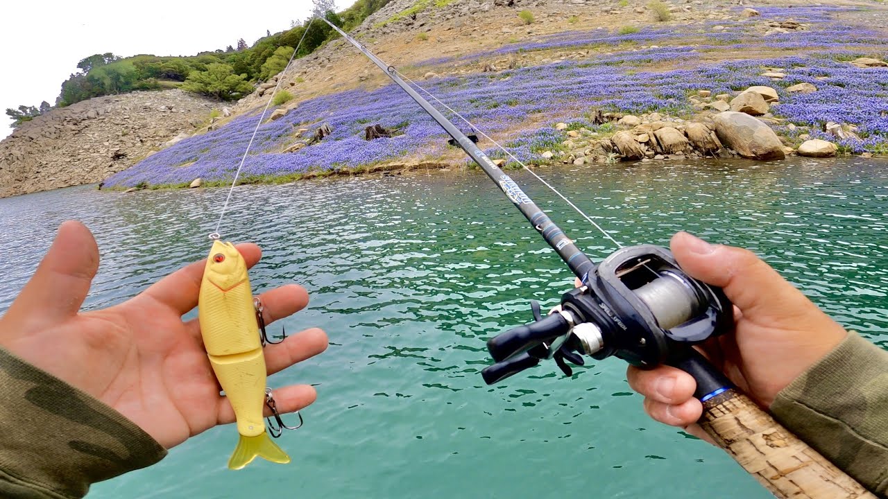 Catching Spotted Bass with S-Wavers | I Couldn’t Put this Glide Bait Down!!
