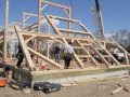 Amish Barn Raising at Crow Creek Farm, Goshen, NJ