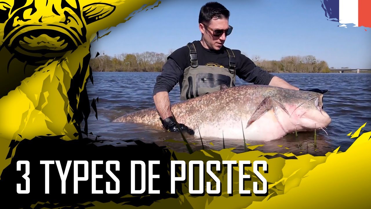 Pêche au silure sur la loire, Pêche du silure au Bouchon