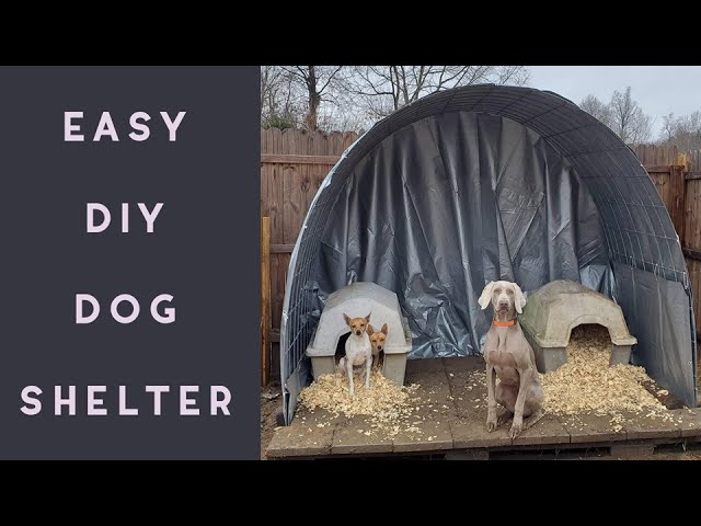 Made a little dog tower!  Dog yard, Diy dog yard, Dog rescue idea