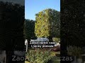 Jedyny problem przy wjeździe do Rosji zagranicznym autem