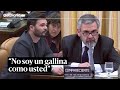 "No soy un gallina como usted": el enfrentamiento completo entre Rufián y Alfonso