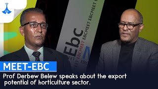 #MEET-EBC Prof Derbew Belew speaks about the export potential of horticulture sector.